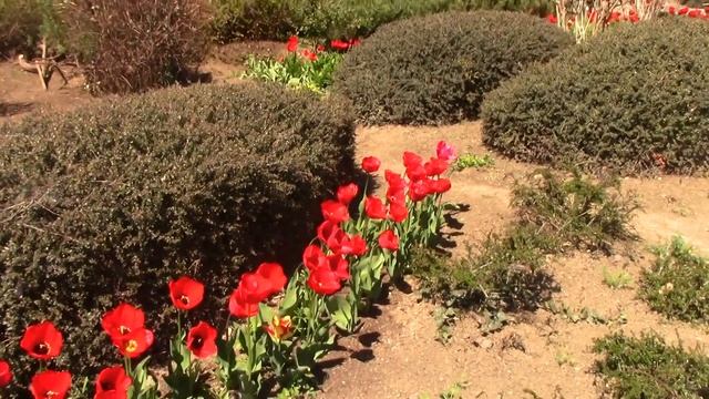 Массандровский дворец Побывал внутри Массандровского дворца. ПОЛНЫЙ ОБЗОР Массандра Крым 2022 Ялта смотреть онлайн