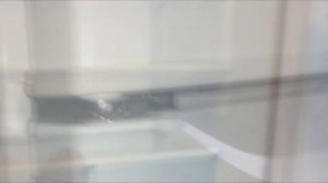 Холодильник Pozis RK-139 ОБЗОР