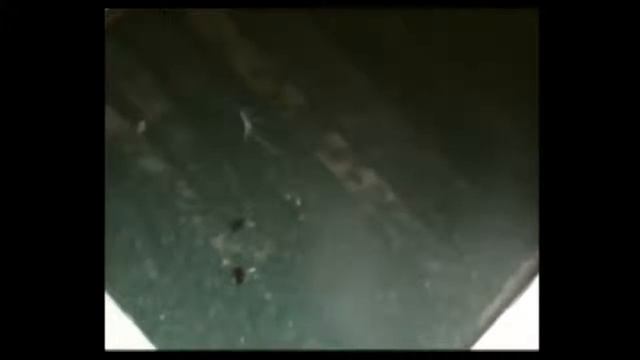 Для пчел домик для сна смотреть онлайн