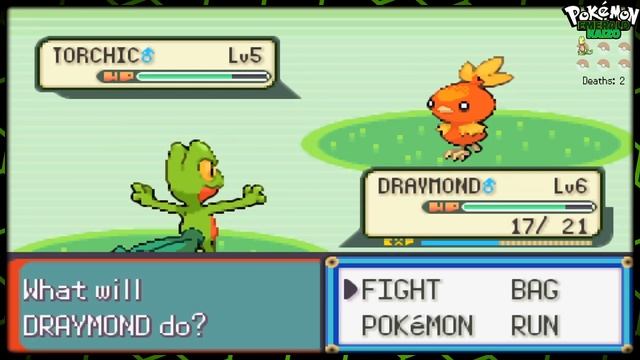 HARDEST FIRST BATTLE I'VE EVER HAD! ? Let's Play Pokemon Emerald Kaizo! (Part 1) смотреть онлайн