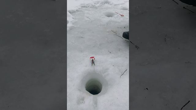 глухозимье?🤔или просто нет рыбы в реке?🤔 смотреть онлайн