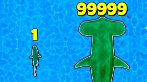 ЭТА АКУЛА РАСТЕТ БЕСКОНЕЧНО !! В ИГРЕ SHARK: FEED AND GROW