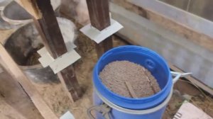 Кроликовод, кролиководство, кролики разведение