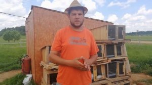 Выращивание кроликов в домашних условиях.Просто и понятно про кролиководство