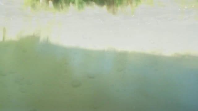 Яремче Карпаты отдых мой Прут отзыв в описании