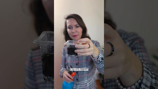 Что такое перлит