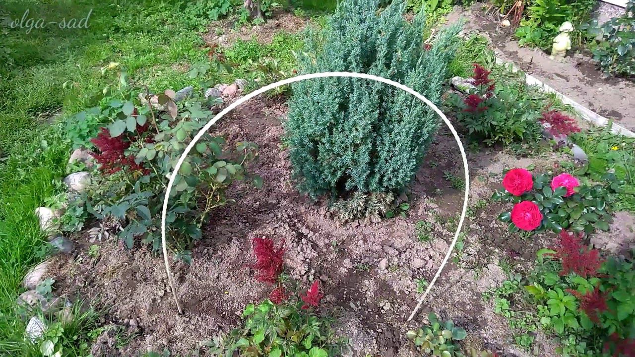 Прочные садовые дуги под укрытие для роз.Из чего сделать. смотреть онлайн