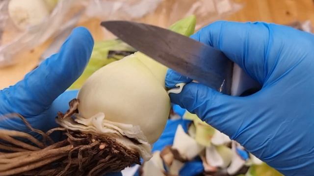 очередная тройка гнилушек смотреть онлайн