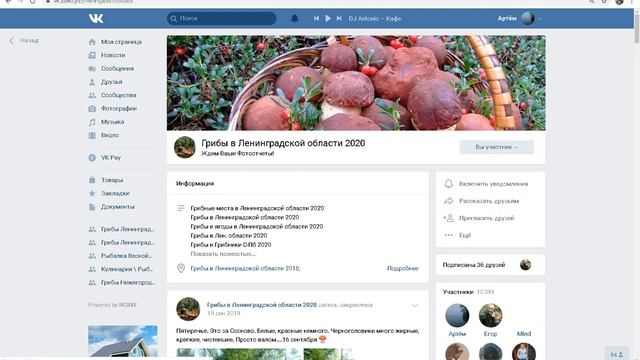 Я не являюсь админом группы Грибы в Ленинградской области 2020! смотреть онлайн