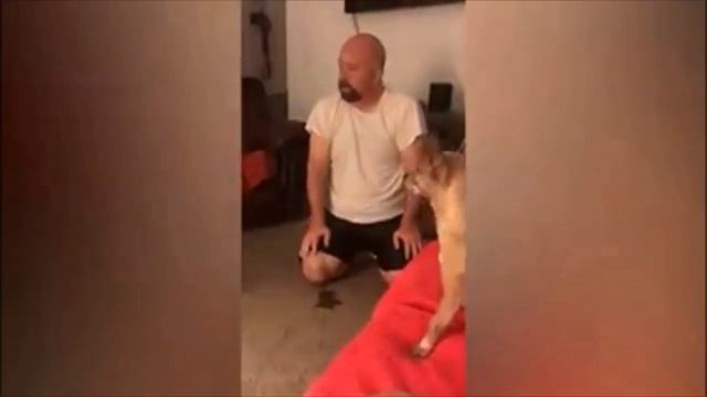 ПРОСНИСЬ И ПОЙ ( СМЕШНЫЕ МОМЕНТЫ) . смотреть онлайн