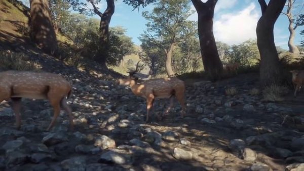 Вкратце про theHunter: Call of the Wild