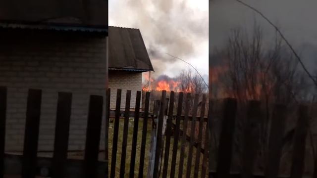 У нас горят дачи смотреть онлайн