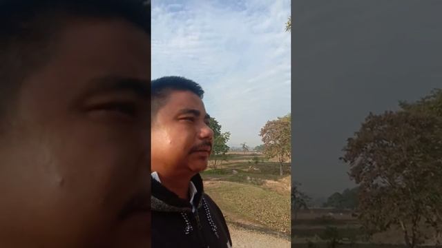 Kaziranga tourist place elephant journey/5/12/20 смотреть онлайн
