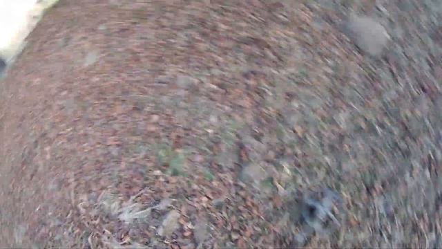 Metal detecting, XP ORX in the yard, found coins! Treasure hunting смотреть онлайн