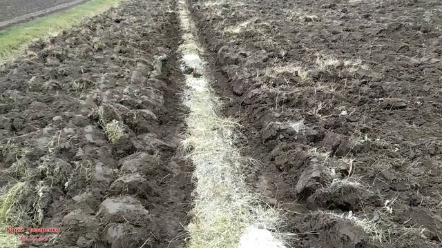 ВСПАШКА ЦЕЛИНЫ / ФИНАЛ ...МОИ ВПЕЧАТЛЕНИЯ И НЮАНСЫ смотреть онлайн