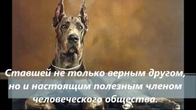 Буктрейлер к книге Б. Рябинина *Мои друзья* смотреть онлайн