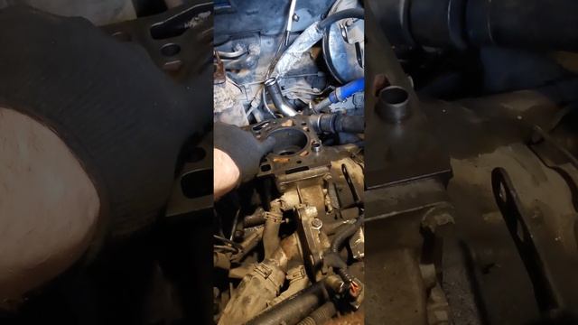 @ Ремонт двігатєля Форд мондео 3 дізель 2.0 115кс мотор смотреть онлайн