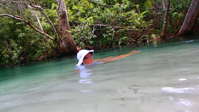 АМЕРИКА Поплавать с КРОКОДИЛАМИ Weeki Wachee River смотреть онлайн