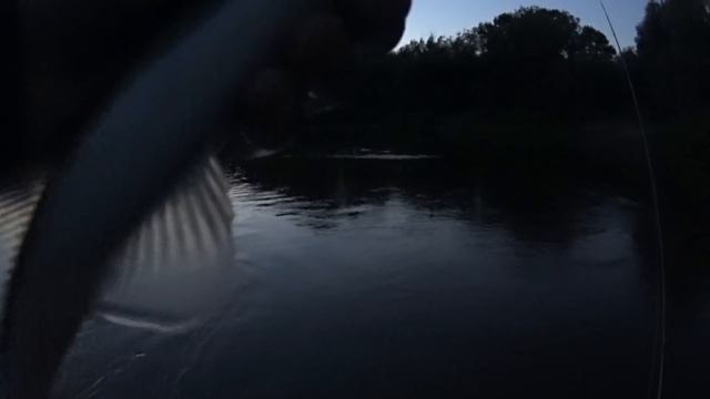 МЕЛЬЧЕ ВОБЛЕР - КРУПНЕЕ СУДАК! Ловля ночного судака на воблеры в черте города смотреть онлайн