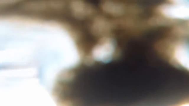 Квадроцикл Suzuki Kingquad 750 - Сели в грязь по УШИ!