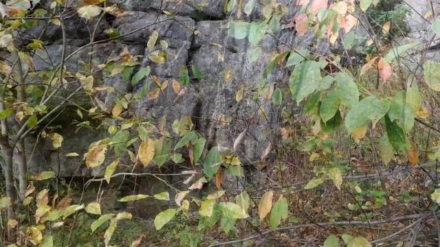 По пути ермака