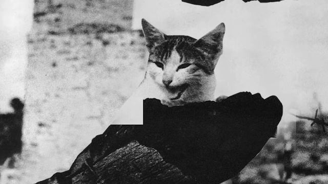 Ленинград город несломленных смотреть онлайн