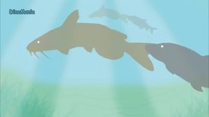 Dinosaurs Cartoons Battles - the BEST of DinoMania - animated movies 2018 | Dinosaurs Fighting