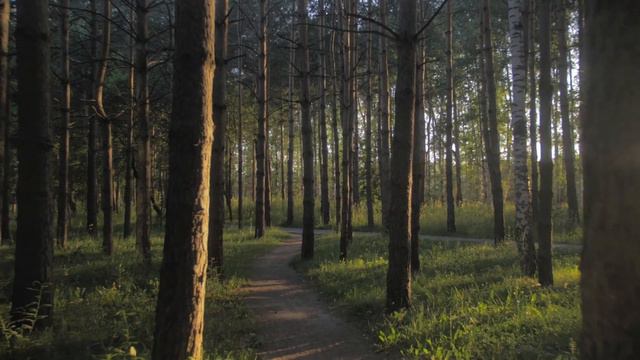 Удовольствие от тишины - ваша привилегия в Новом Кедровом смотреть онлайн