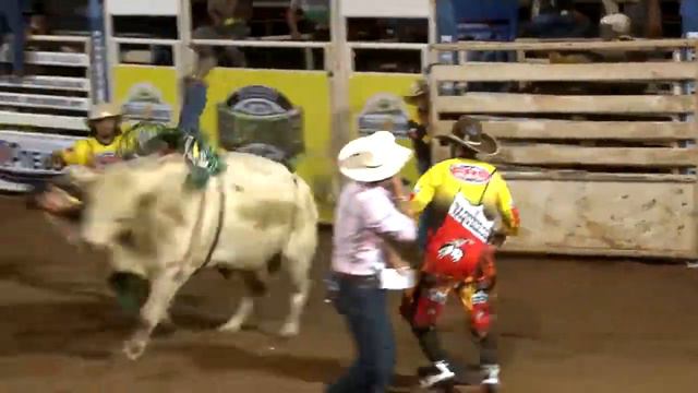 Bruno Pereira x Romance DA R1 смотреть онлайн