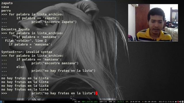 Estructuras de datos en Python (programación) смотреть онлайн