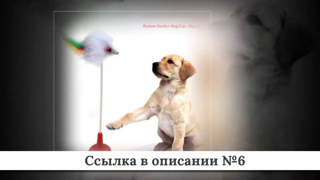 Подборка Товаров для кошек из китая #4 смотреть онлайн