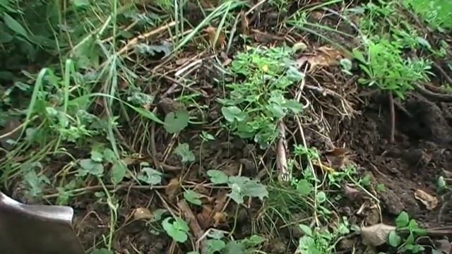 Органические удобрения. Компост Сад и огород выпуск 068 смотреть онлайн