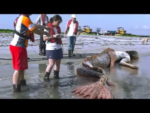 45 НЕВЕРОЯТНЫХ МОМЕНТОВ, СНЯТЫХ НА КАМЕРУ