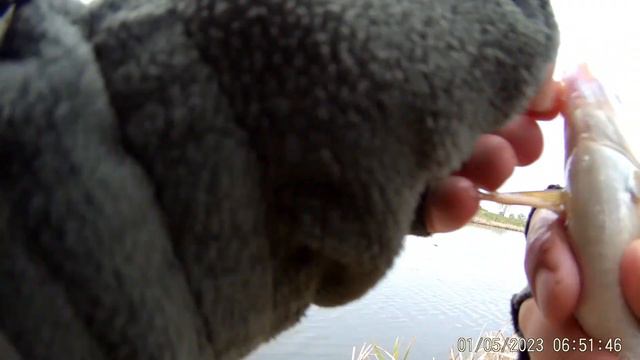 Звон натянутой лески. Боковой кивок. Безмотылка. смотреть онлайн