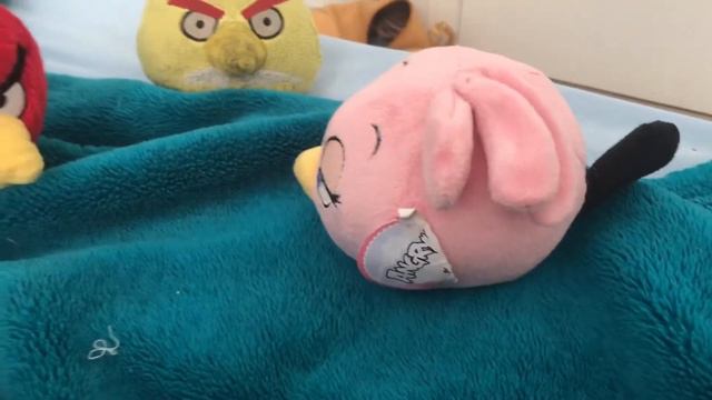 Angry birds show back to school смотреть онлайн