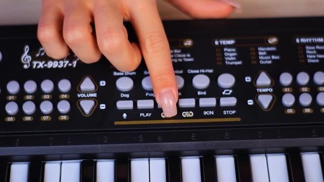 3797797 Синтезатор «Музыкант»