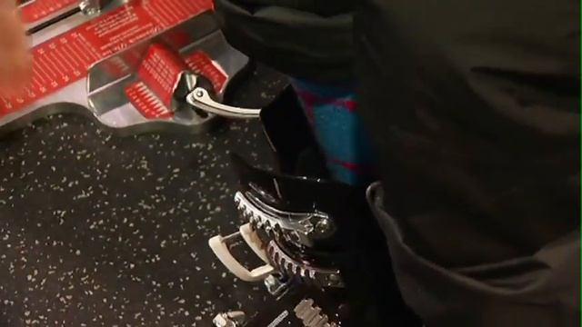 Sport Check смотреть онлайн