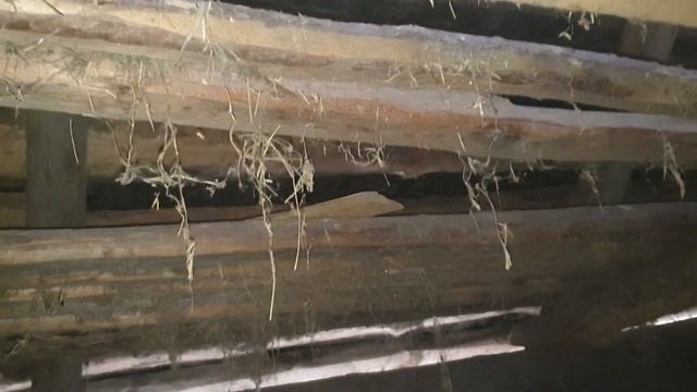 КУПИЛА ДОМ В ДЕРЕВНЕ / Планы на ближайшее будущее по обустройству территории смотреть онлайн