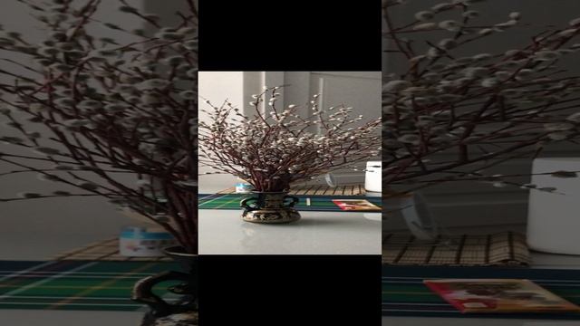 ❤️Дорогие подписчики, с Праздником Вербное Воскресение❤️ смотреть онлайн
