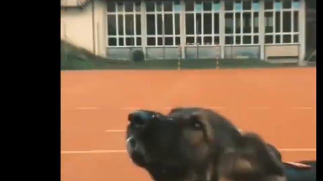 :D. видео просто топппп🕊🌾🔥 смотреть онлайн