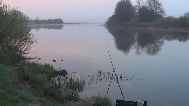 Отдых на рыбалке С фидером на Преголе смотреть онлайн