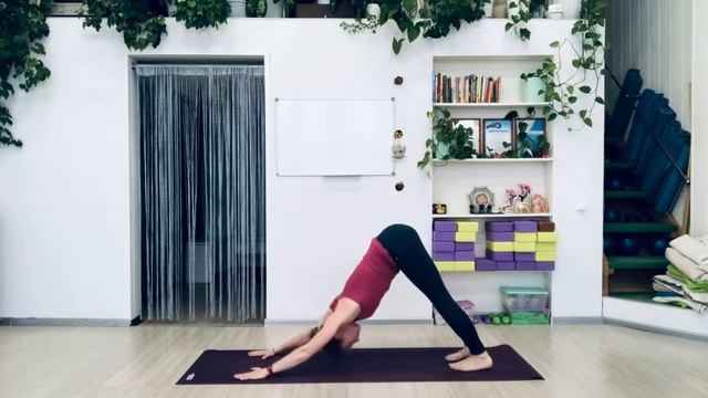 Сурья Намаскар Аштанга Виньяса йога В смотреть онлайн