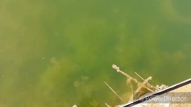 Ранняя рыбалка на Владимировском водохранилище смотреть онлайн