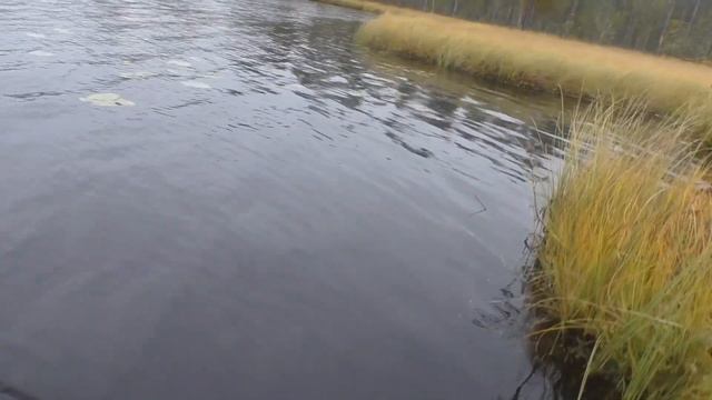 Щуки на самоловки. Рыбалка на ламбушке в Карелии. Спиннинг, удочка и самоловки. смотреть онлайн