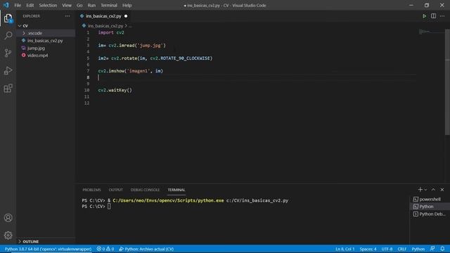 ✅ Cómo Rotar ? una Imagen en OpenCV смотреть онлайн