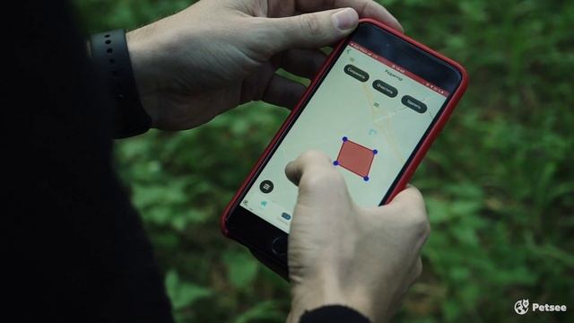 Обзор GPS-ошейника Petsee смотреть онлайн