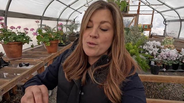Starting Lisianthus from Seed 🌸 \\ Garden Answer! смотреть онлайн