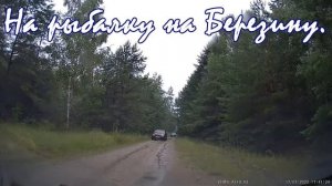 Река Березина. Рыбалка на Березине лучшие места. Лесная дорога к реке. Отдых и рыбалка в Беларуси.