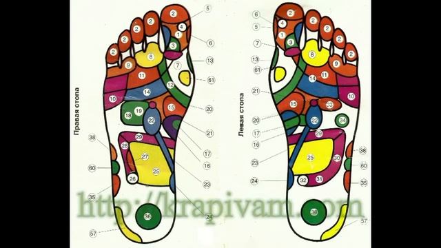 Крапивные стельки ручной работы смотреть онлайн