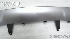 Накладка заднего бампера Rav4 (4) рестайлинг серебристая №2